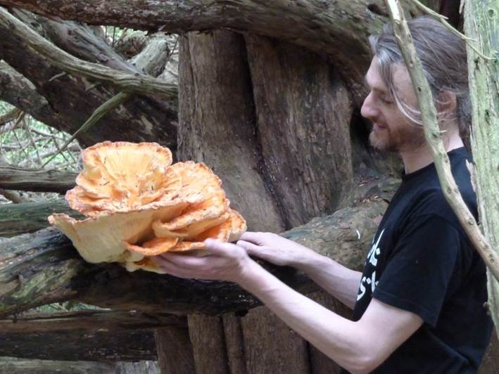 Introducing foraging for mushrooms in 2014
