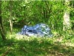 Camping spots amongst the trees